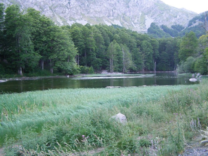 P7209971.jpg