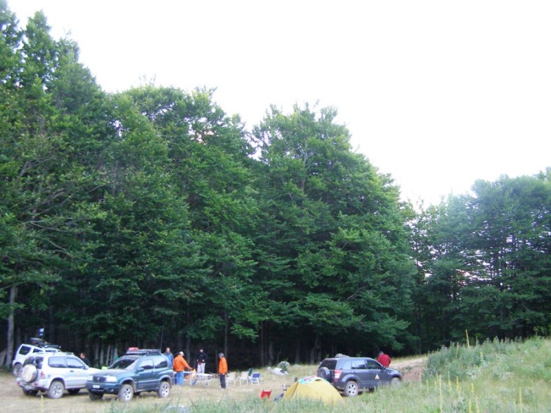 P7209969.jpg