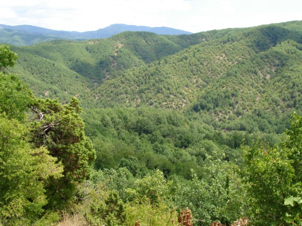DSC01587.jpg