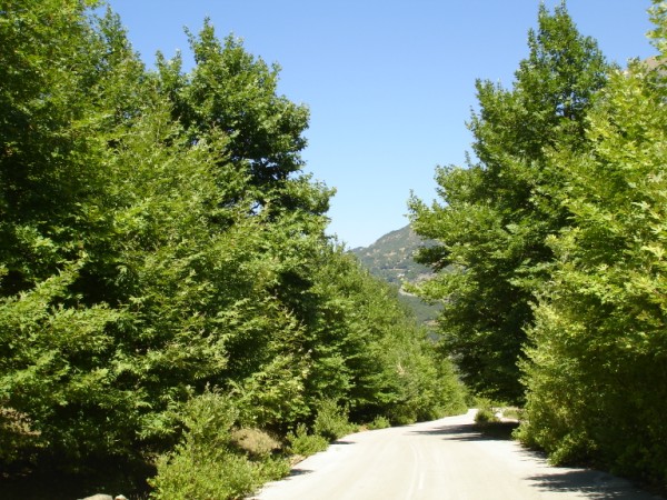 DSC01637.jpg