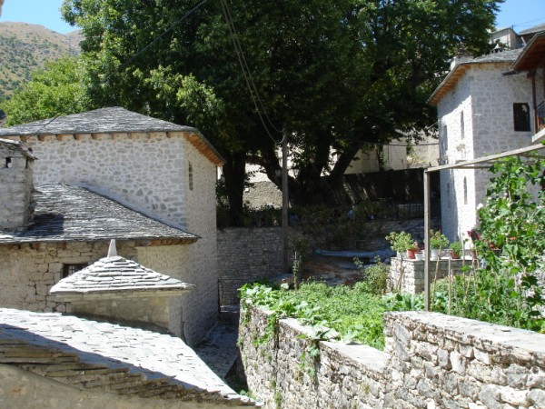 DSC01652.jpg