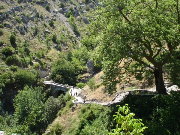 DSC01654.jpg