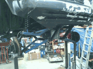 Robin2.gif
