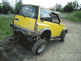 Robin1.gif
