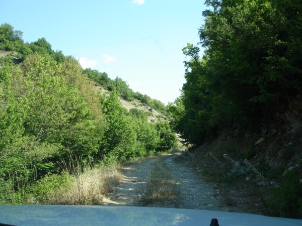 DSC01542.jpg