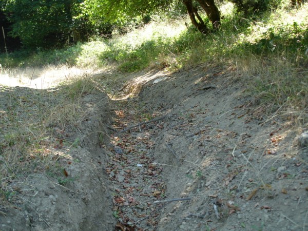 DSC01546.jpg