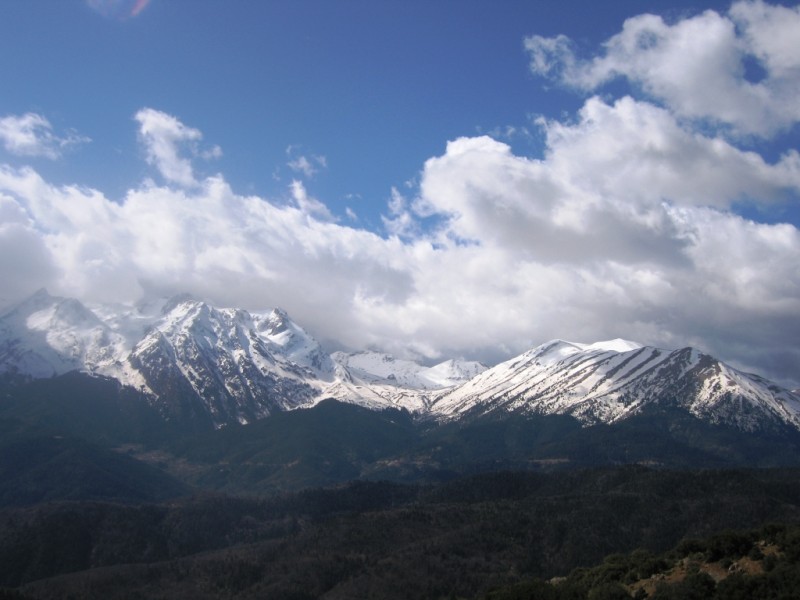 IMG_8136.jpg