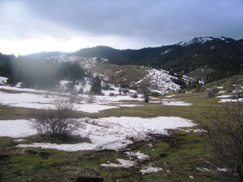 IMG_8177.jpg