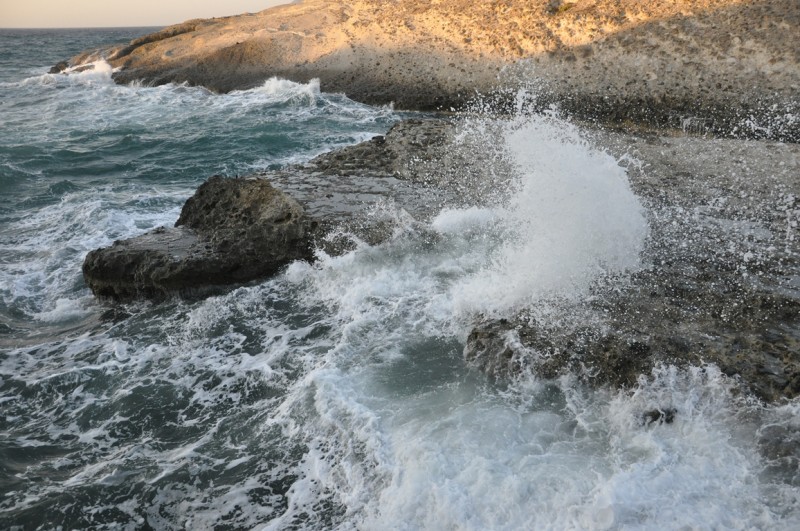 DSC_0589.jpg
