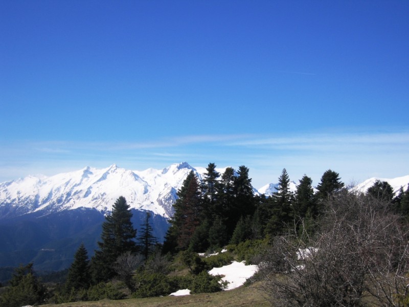 IMG_8205.jpg