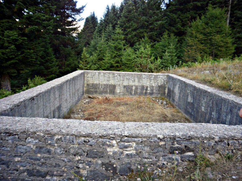 P81300sss92.jpg