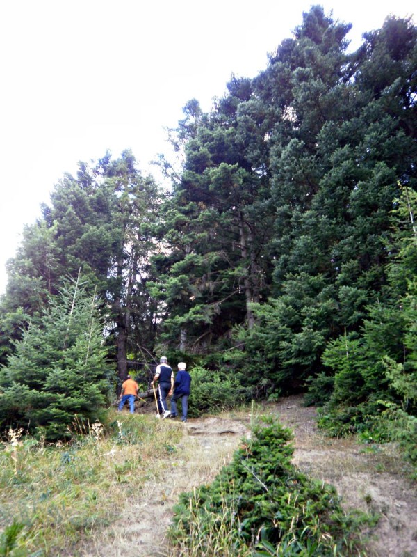 P81301sss00.jpg