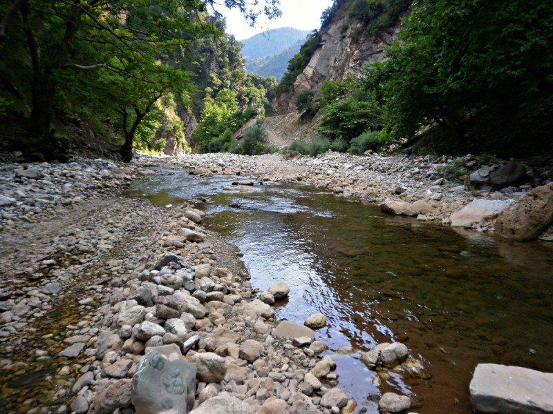 P81300sss54.jpg