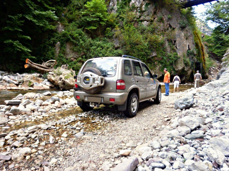 P81300sss55.jpg
