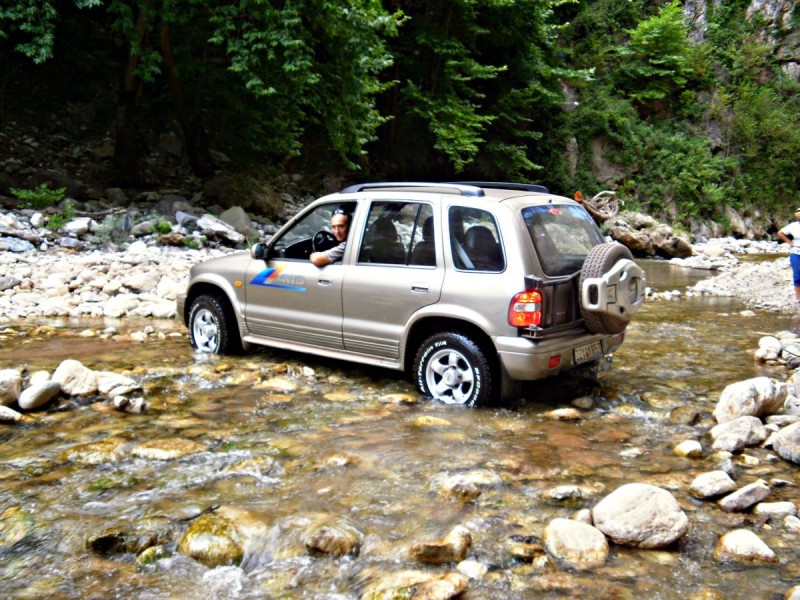 P81300sss74.jpg