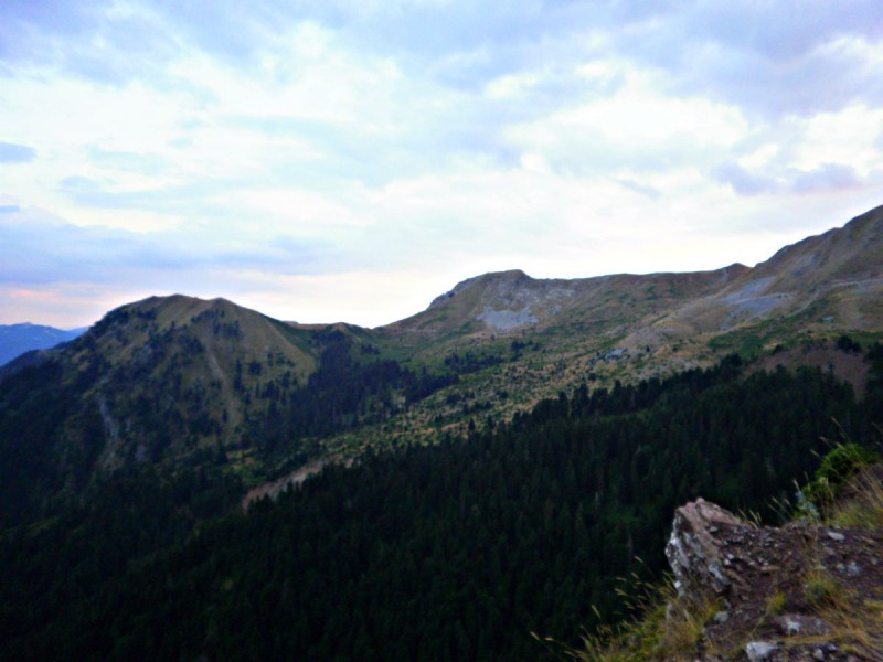 P81401sss18.jpg