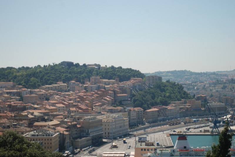 DSC_8211.jpg
