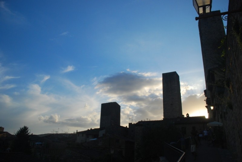 DSC_6564.jpg