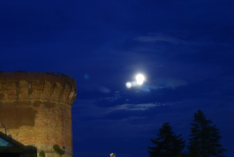 DSC_7540.JPG