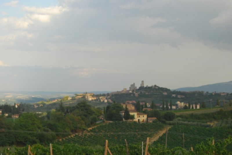 DSC_6536.JPG