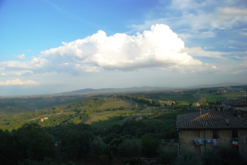 DSC_6565.jpg