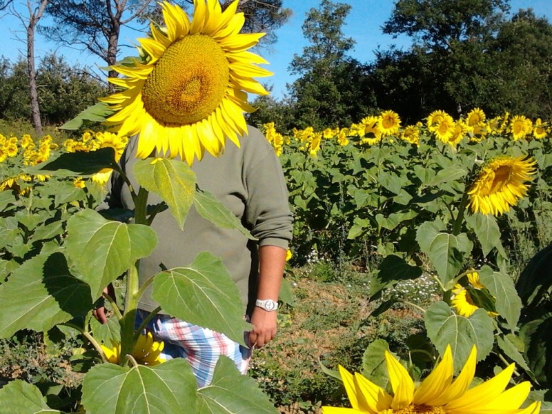 2011-08-10093146.jpg