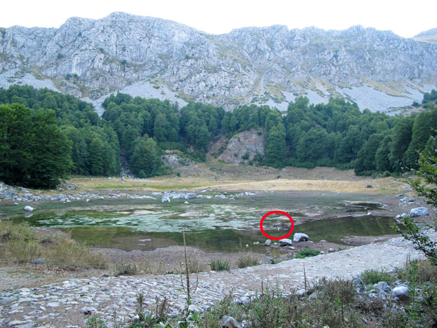 6a.jpg