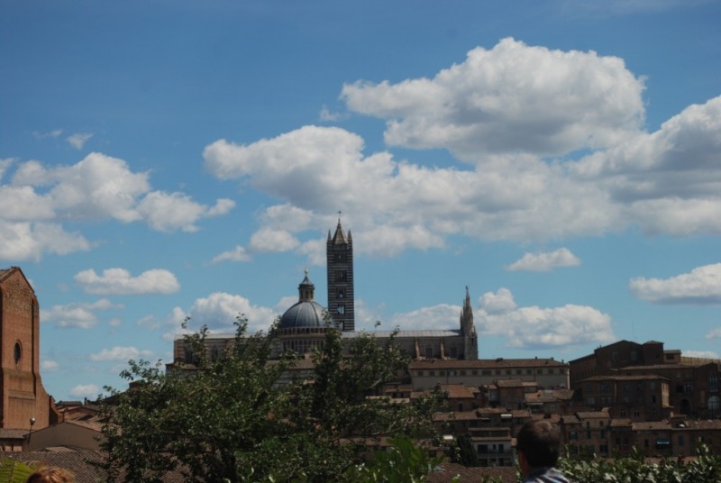 DSC_6728.jpg