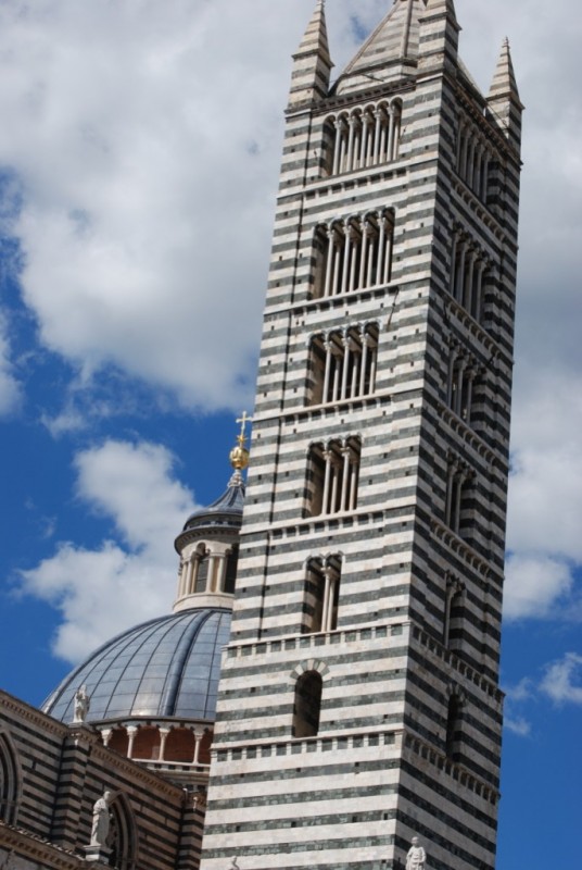 DSC_6831.jpg