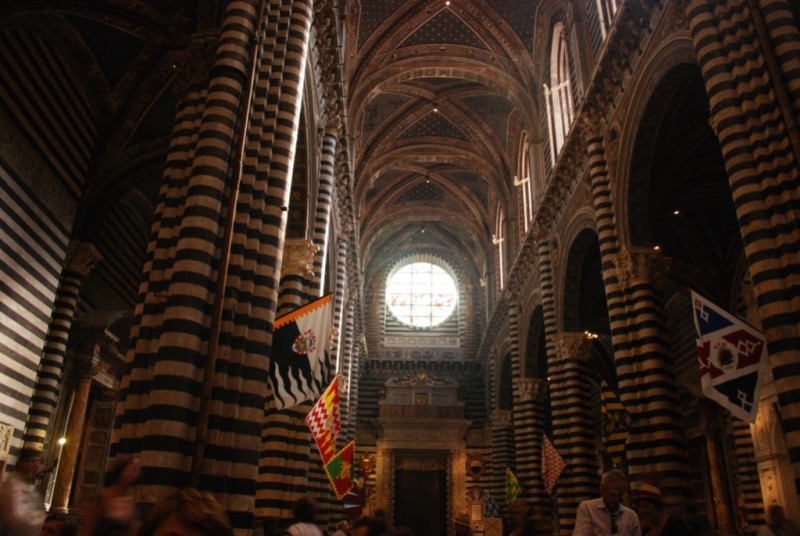 DSC_6919.jpg