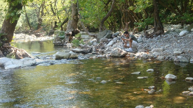 DSC02132.JPG