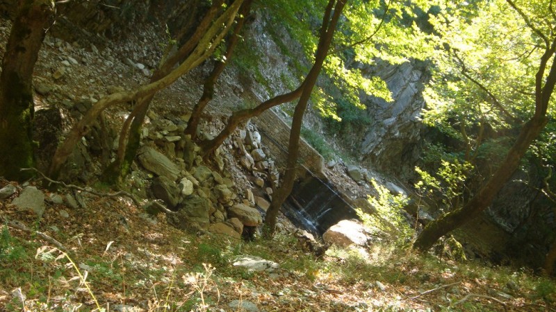 DSC02185.JPG