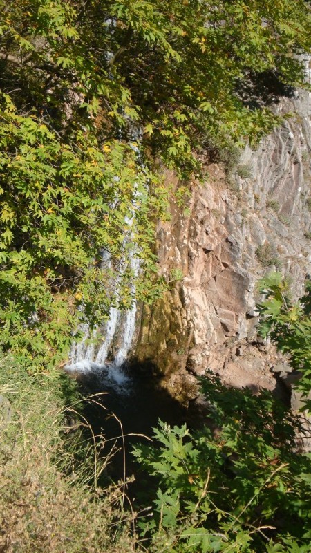 DSC02197.JPG