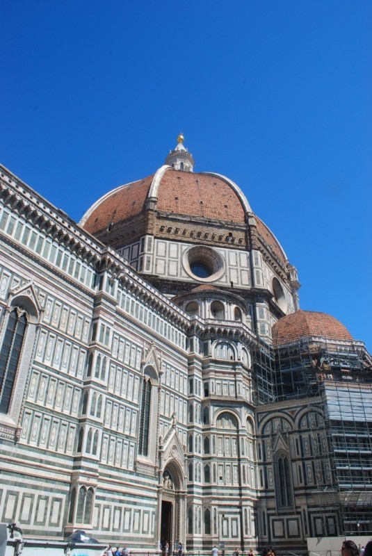 DSC_7101.jpg