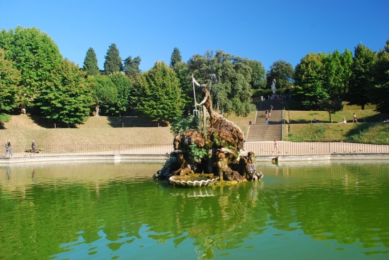 DSC_7247.jpg
