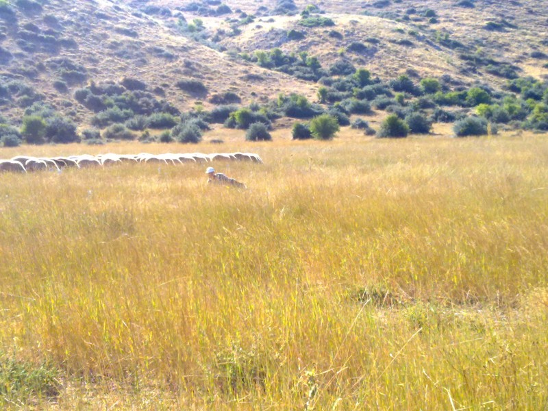 Αντίγραφο από 27082011544.jpg