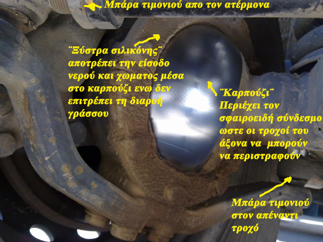 VitaraClub 0.jpg
