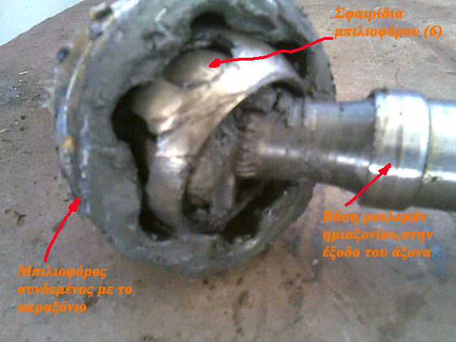 VitaraClub 1.jpg