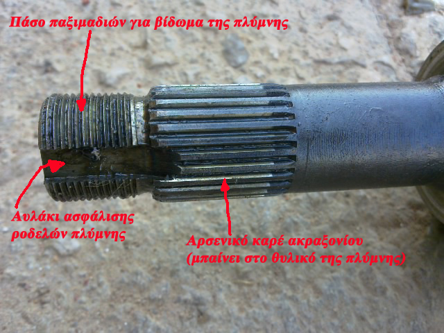 VitaraClub 6.jpg