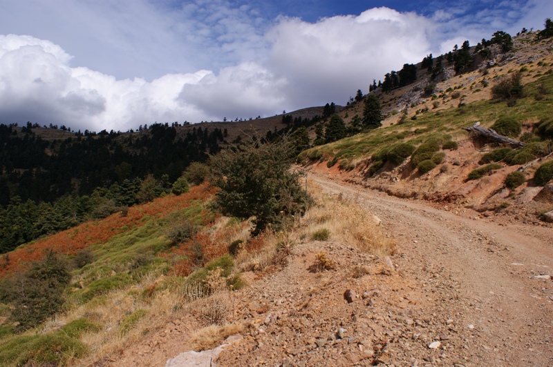 DSC02363.JPG
