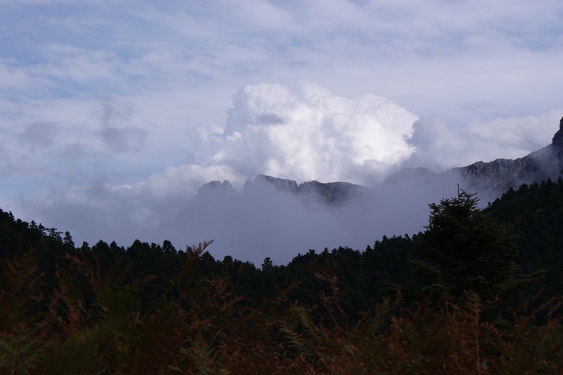 DSC02404.JPG