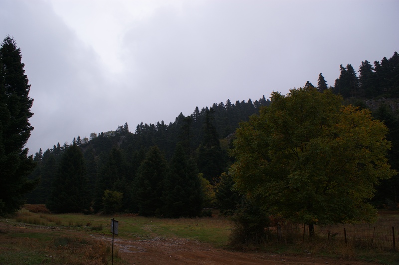 DSC02450.JPG