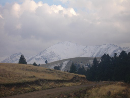 DSC03012.jpg