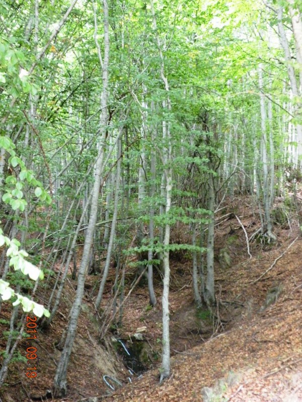DSCN4972.JPG