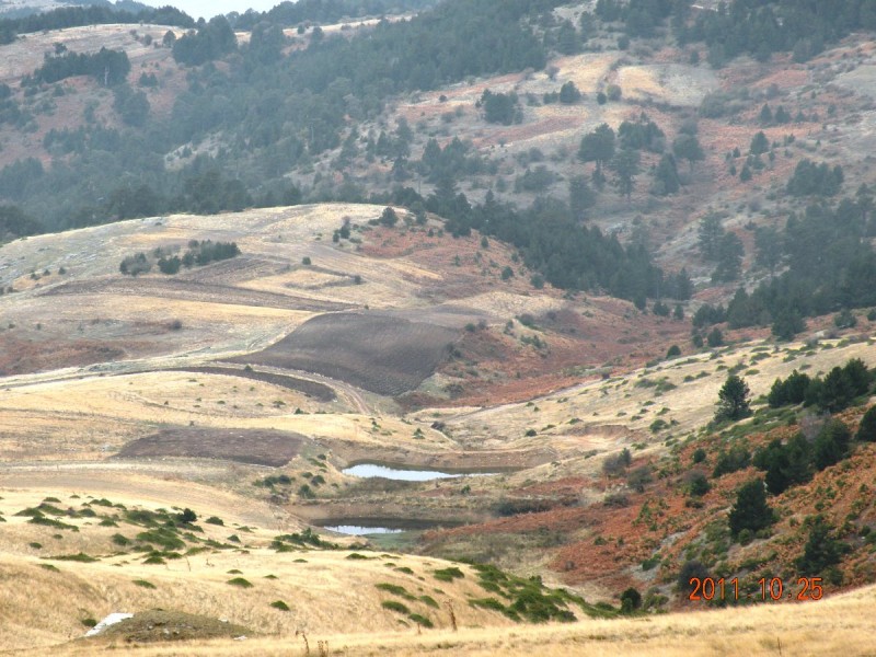 DSCN4995.JPG