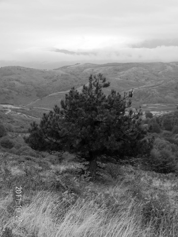 DSCN5005.JPG