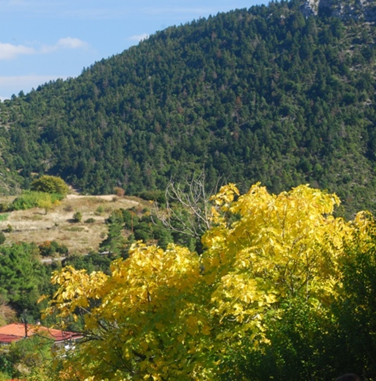 DSC_8519.JPG