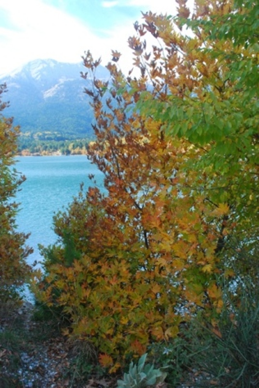 DSC_8532.JPG