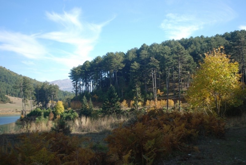 DSC_8549.JPG