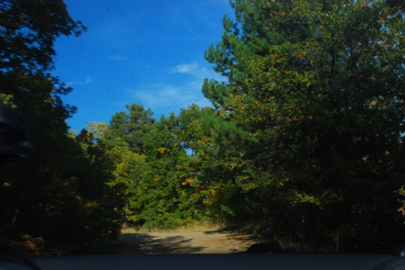 DSC_8559.JPG
